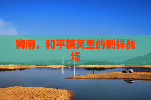 狗闸，和平精英里的别样战场