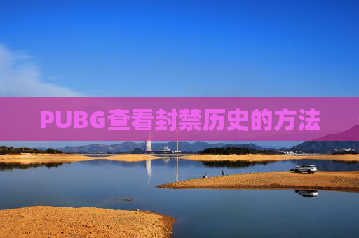 PUBG查看封禁历史的方法