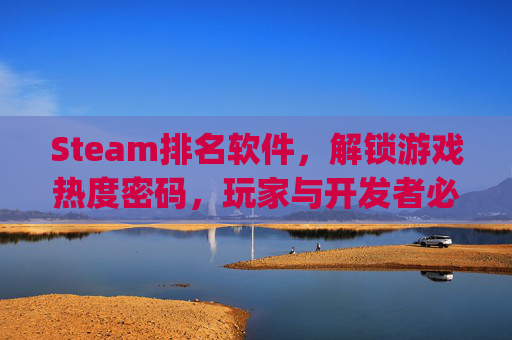 Steam排名软件，解锁游戏热度密码，玩家与开发者必备的SteamTop榜工具