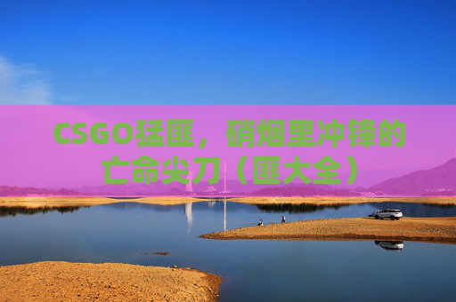 CSGO猛匪,硝烟里冲锋的亡命尖刀(匪大全)