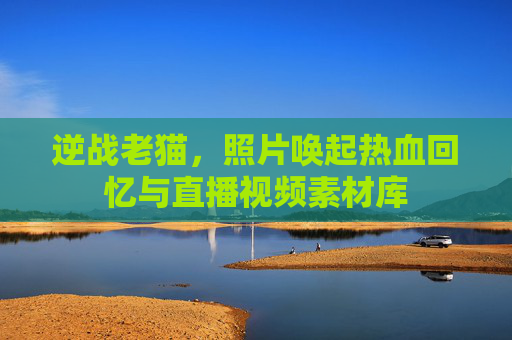 详细阅读:逆战老猫,照片唤起热血回忆与直播视频素材库 逆战老猫,照片唤起热血回忆与直播视频素材库