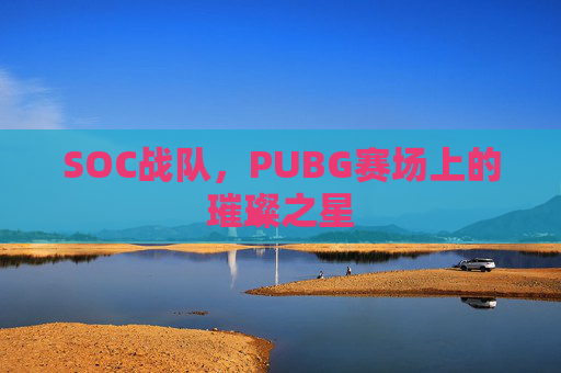 SOC战队，PUBG赛场上的璀璨之星