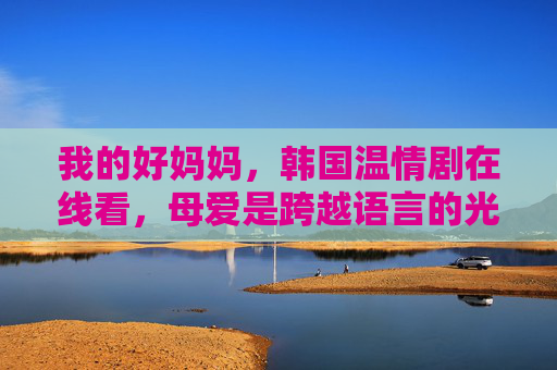 我的好妈妈，韩国温情剧在线看，母爱是跨越语言的光