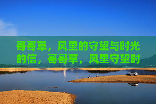 哥哥草，风里的守望与时光的信，哥哥草，风里守望时光的信
