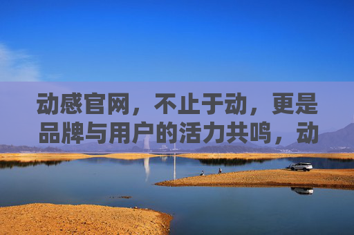 动感官网,不止于动,更是品牌与用户的活力共鸣,动感官网,不止于动,活力共鸣