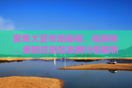 聚焦大豆市场脉搏，仙踪林、老狼贰佰信息网行情解析与价值共生，仙踪林、老狼贰佰信息网，大豆市场脉搏解析与价值共生