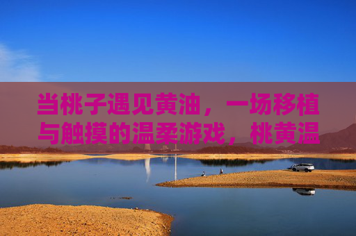 当桃子遇见黄油，一场移植与触摸的温柔游戏，桃黄温柔移植游戏
