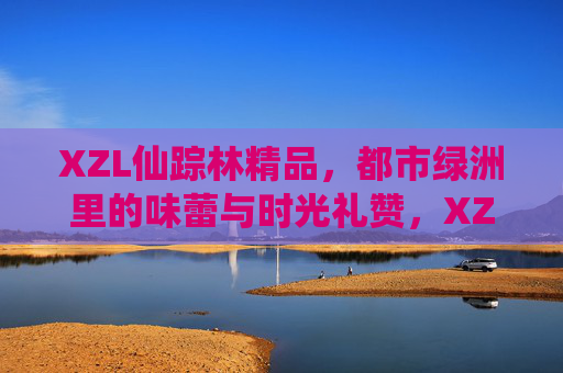 XZL仙踪林精品，都市绿洲里的味蕾与时光礼赞，XZL仙踪林精品，都市绿洲的味蕾时光礼赞