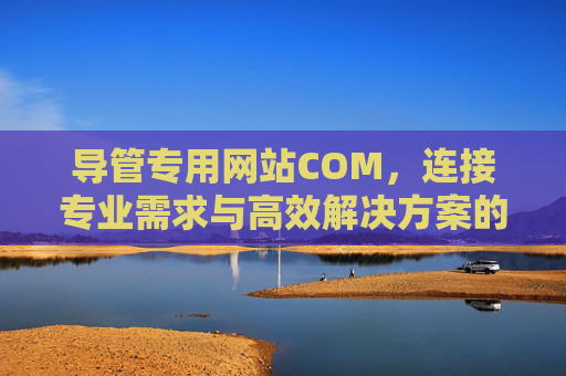 导管专用网站COM，连接专业需求与高效解决方案的数字桥梁
