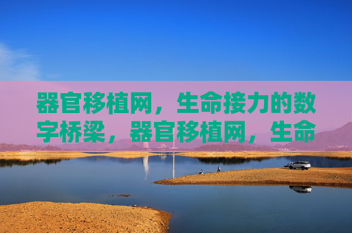 器官移植网，生命接力的数字桥梁，器官移植网，生命接力的数字桥梁