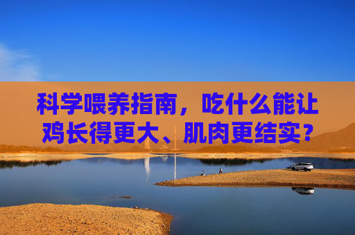 科学喂养指南，吃什么能让鸡长得更大、肌肉更结实？