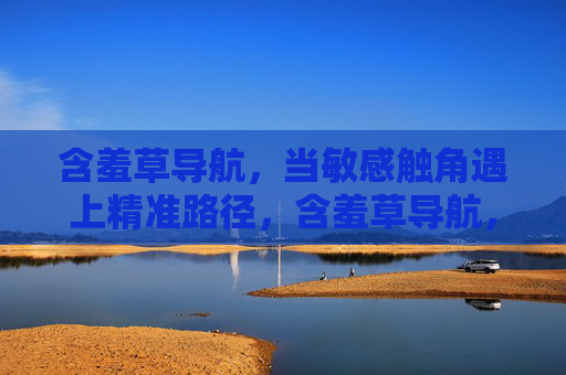 含羞草导航，当敏感触角遇上精准路径，含羞草导航，敏感触角，精准引航