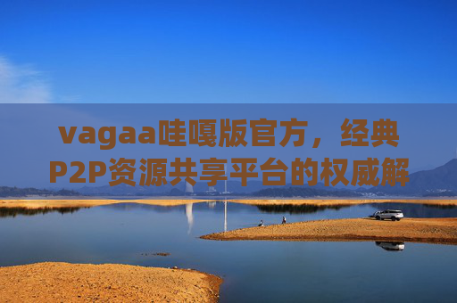 vagaa哇嘎版官方，经典P2P资源共享平台的权威解析，vagaa哇嘎版官方，经典P2P资源共享平台权威解析