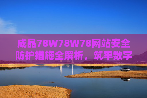 成品78W78W78网站安全防护措施全解析，筑牢数字资产安全防线，成品78W78W78网站安全防护措施全解析，筑牢数字资产安全防线