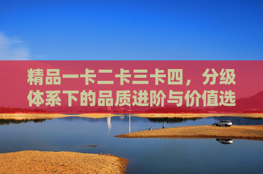 精品一卡二卡三卡四，分级体系下的品质进阶与价值选择，一卡至四卡分级体系，品质进阶与价值选择