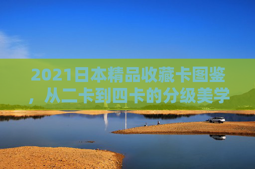 2021日本精品收藏卡图鉴，从二卡到四卡的分级美学与市场热潮，2021日本精品收藏卡图鉴，二卡到四卡的分级美学与市场热潮