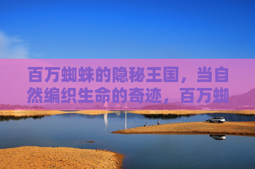 百万蜘蛛的隐秘王国，当自然编织生命的奇迹，百万蜘蛛的隐秘王国，自然编织的生命奇迹