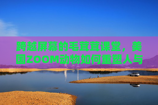 跨越屏幕的毛茸茸课堂，美国ZOOM动物如何重塑人与自然的日常连接，跨越屏幕的毛茸茸课堂，ZOOM重塑人与自然的日常连接