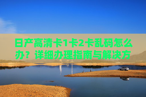 日产高清卡1卡2卡乱码怎么办？详细办理指南与解决方法，日产高清卡1卡2卡乱码解决方法与办理指南