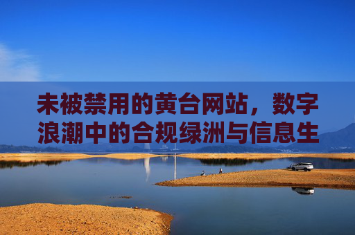 未被禁用的黄台网站，数字浪潮中的合规绿洲与信息生态启示，数字浪潮里的合规绿洲，黄台网站的信息生态启示