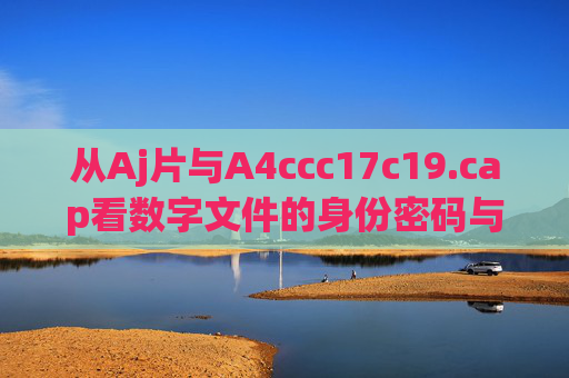 从Aj片与A4ccc17c19.cap看数字文件的身份密码与技术价值，数字文件的身份密码与技术价值