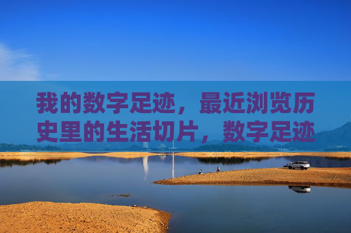 我的数字足迹，最近浏览历史里的生活切片，数字足迹里的生活切片