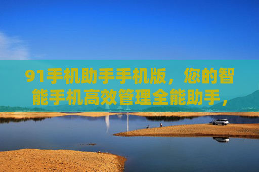 91手机助手手机版，您的智能手机高效管理全能助手，91手机助手手机版，智能手机高效管理全能助手