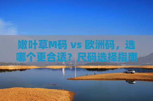 嫩叶草M码 vs 欧洲码，选哪个更合适？尺码选择指南，嫩叶草M码vs欧洲码，尺码选择指南