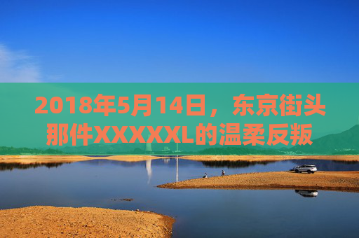 2018年5月14日，东京街头那件XXXXXL的温柔反叛，2018年5月14日，东京街头XXXXXL的温柔反叛