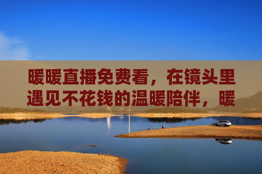 暖暖直播免费看，在镜头里遇见不花钱的温暖陪伴，暖暖免费直播，镜头里的温暖陪伴