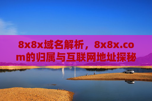 8x8x域名解析，8x8x.com的归属与互联网地址探秘，8x8x.com域名解析，归属与互联网地址探秘