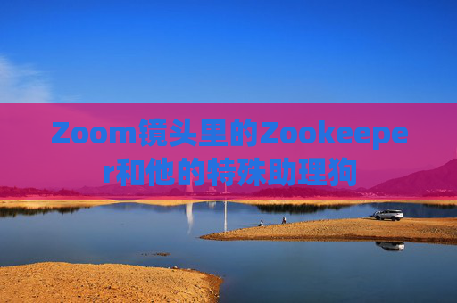 Zoom镜头里的Zookeeper和他的特殊助理狗