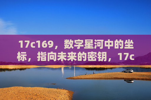 17c169，数字星河中的坐标，指向未来的密钥，17c169，数字星河的未来坐标密钥