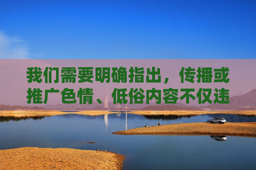 我们需要明确指出，传播或推广色情、低俗内容不仅违反平台规定，更违反国家法律法规，会对社会风气，尤其是青少年的身心健康造成严重危害。网络空间不是法外之地，任何违法违规内容都应坚决抵制
