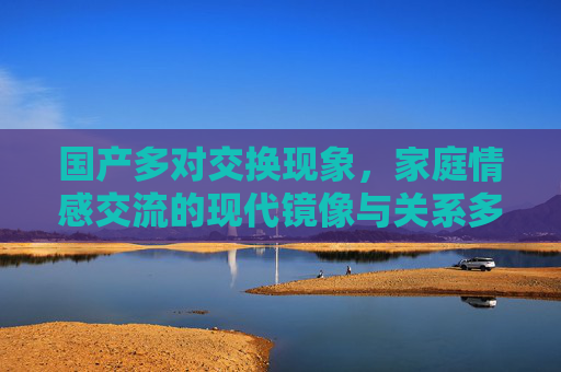 国产多对交换现象，家庭情感交流的现代镜像与关系多元视角探讨，国产多对交换现象，家庭情感交流的现代镜像与关系多元视角探讨