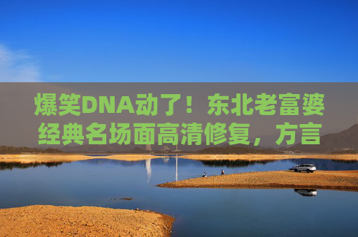 爆笑DNA动了！东北老富婆经典名场面高清修复，方言喜剧的封神台词你敢循环吗？爆笑DNA动了！东北老富婆方言喜剧封神名场面