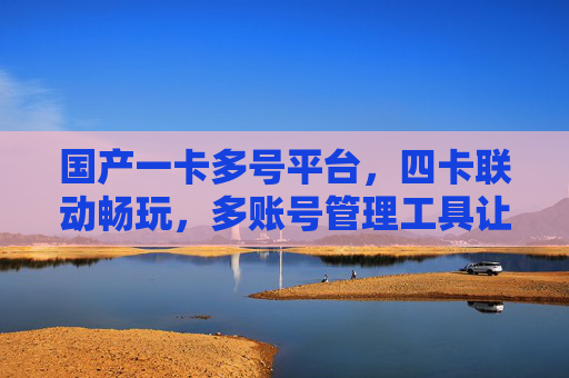 国产一卡多号平台，四卡联动畅玩，多账号管理工具让国服玩家更轻松，国产一卡多号平台，四卡联动多账号管理，国服玩家轻松畅玩