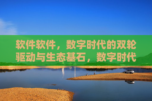 软件软件，数字时代的双轮驱动与生态基石，数字时代软件的双轮驱动与生态基石