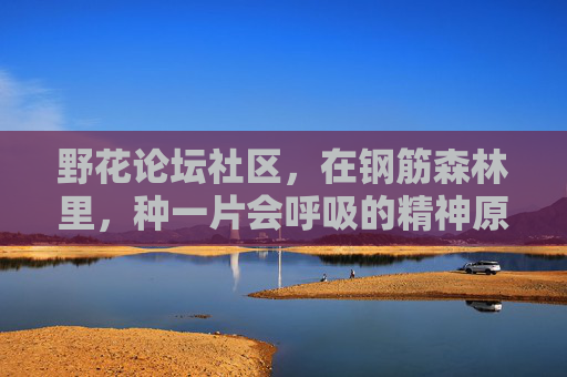 野花论坛社区，在钢筋森林里，种一片会呼吸的精神原野，野花论坛，钢筋森林里，种一片会呼吸的精神原野