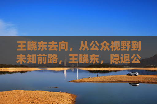 王晓东去向，从公众视野到未知前路，王晓东，隐退公众视野，前路未卜
