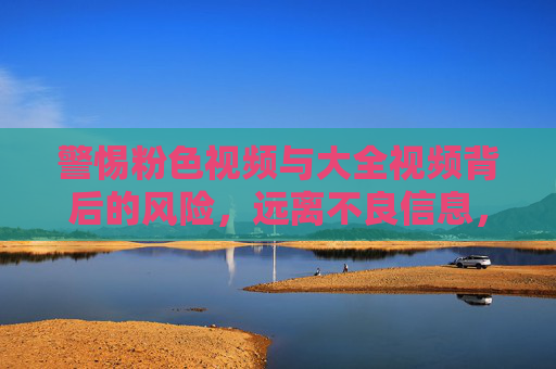 警惕粉色视频与大全视频背后的风险，远离不良信息，守护清朗网络空间，警惕粉色视频大全视频风险，守护清朗网络空间