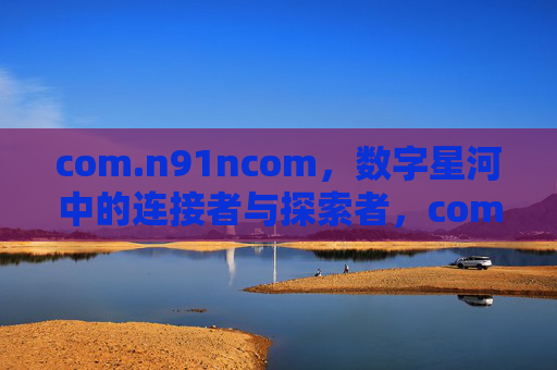 com.n91ncom，数字星河中的连接者与探索者，com.n91ncom，数字星河的连接者与探索者