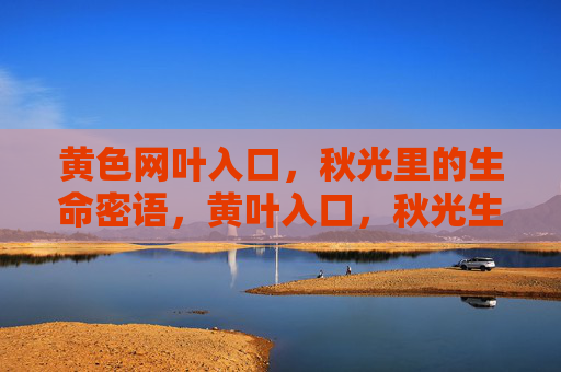 黄色网叶入口，秋光里的生命密语，黄叶入口，秋光生命密语