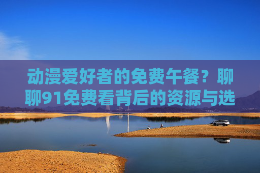 动漫爱好者的免费午餐？聊聊91免费看背后的资源与选择，动漫爱好者的免费午餐，聊聊免费看动漫的资源与选择