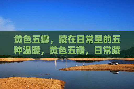 黄色五瓣，藏在日常里的五种温暖，黄色五瓣，日常藏暖