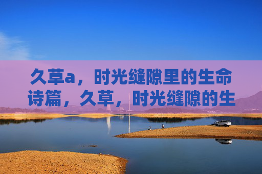 久草a，时光缝隙里的生命诗篇，久草，时光缝隙的生命诗篇