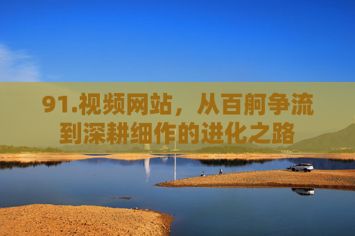 91.视频网站，从百舸争流到深耕细作的进化之路