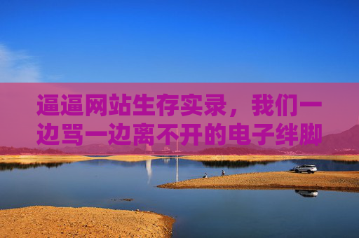 逼逼网站生存实录，我们一边骂一边离不开的电子绊脚石，逼逼网站生存实录，又骂又离不开的电子绊脚石