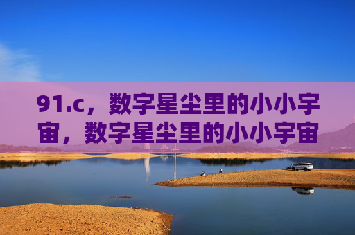 91.c，数字星尘里的小小宇宙，数字星尘里的小小宇宙