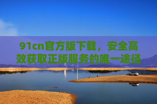 91cn官方版下载，安全高效获取正版服务的唯一途径，91cn官方版下载，安全高效获取正版服务的唯一途径